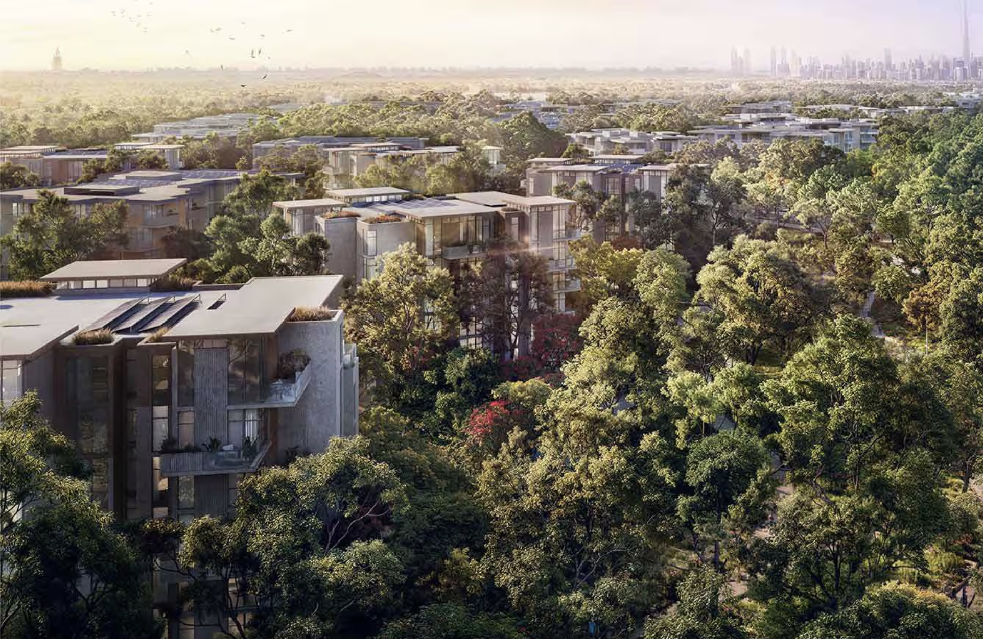 Ghaf Woods Mall - Dubai’s First Nature-Inspired Shopping Centre | Ghaf Woods